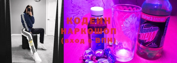 гашик Гусь-Хрустальный