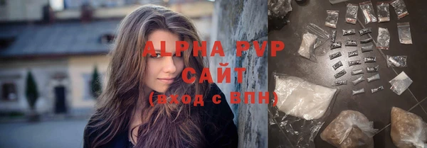 гашик Гусь-Хрустальный