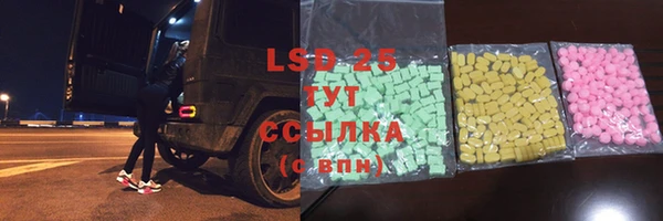 амф Гусев