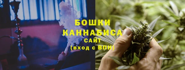 гашик Гусь-Хрустальный