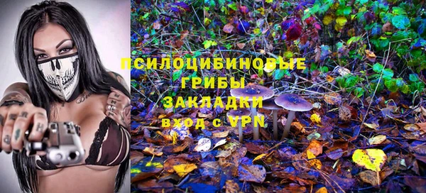 амф Гусев