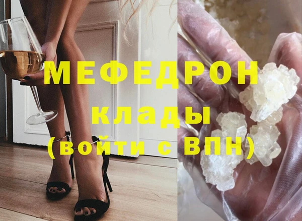 амф Гусев