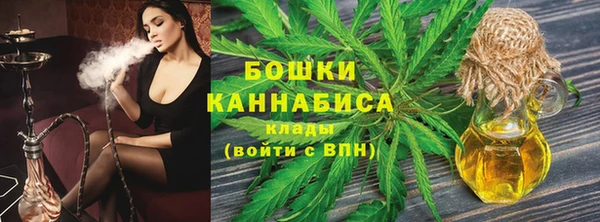 амф Гусев