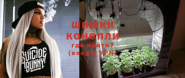 гашик Гусь-Хрустальный