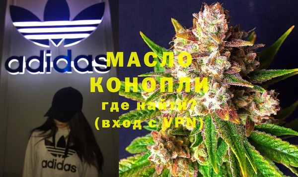 амф Гусев