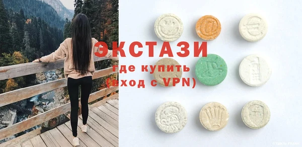 амф Гусев