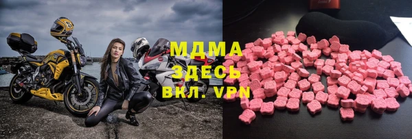 амф Гусев