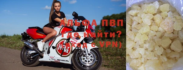 амф Гусев